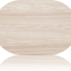 Absorbent diatomaceous earth stone mat