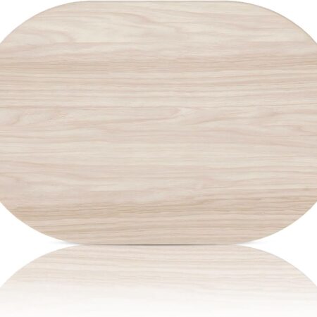 Absorbent diatomaceous earth stone mat